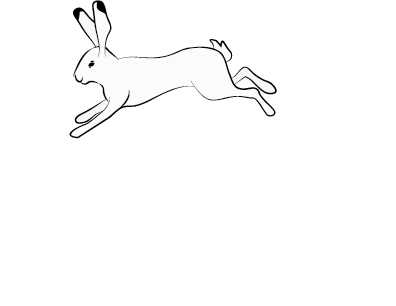 Hopp Webdesign Satz Layout